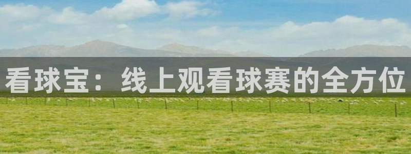 新球体育比分网：看球宝：线上观看球赛的全方位