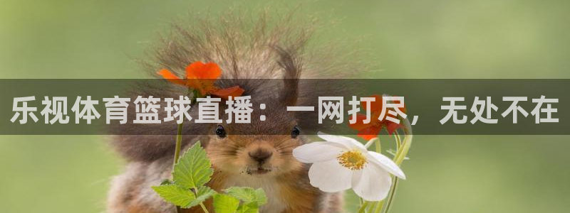 新球体育足球比分：乐视体育篮球直播：一网打尽，无处不在