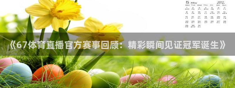 新球体育篮球比分：《67体育直播官方赛事回顾：精彩瞬间见证冠军诞生》