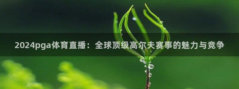 新球体育足球：2024pga体育直播：全球顶级高尔夫赛事的魅力与竞争