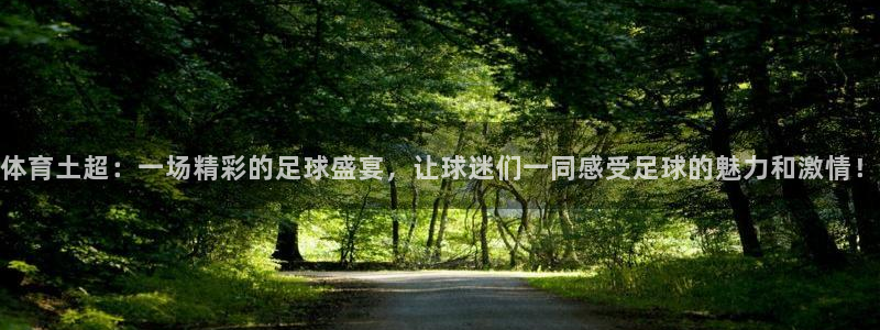 新球足球：体育土超：一场精彩的足球盛宴，让球迷们一同感受足球的魅力和激情！