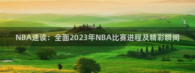新球体育赛事：NBA速读：全面2023年NBA比赛进程及精彩瞬间