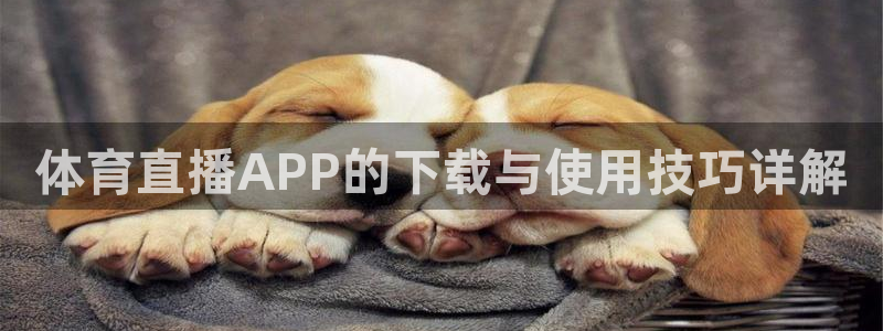 新球